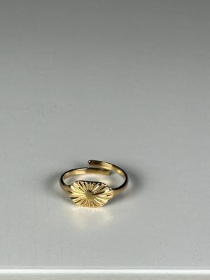Anillo de Acero Dorado
