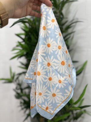 º PAÑUELOS