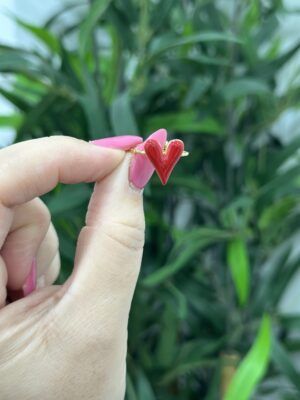 Anillo Corazón