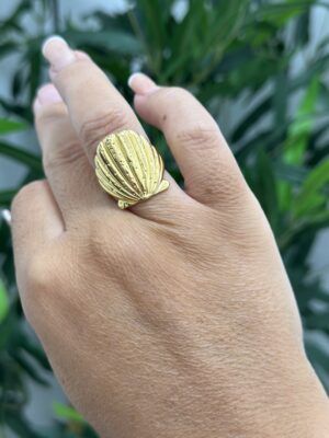 Anillo concha