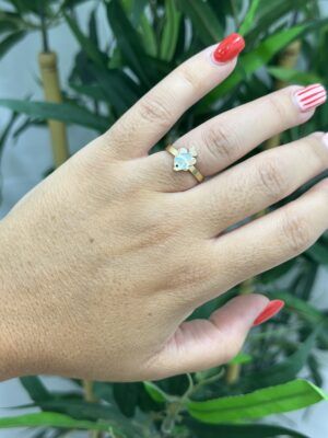 Anillo pez besugo