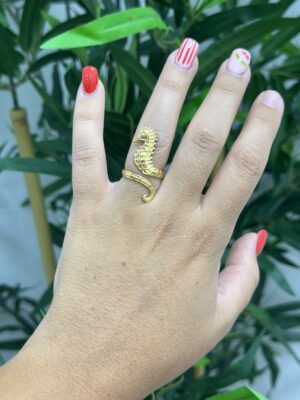 + ANILLOS