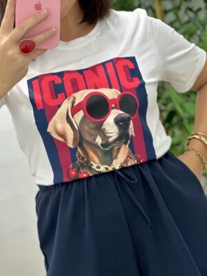 Camiseta Iconic marino y burdeos